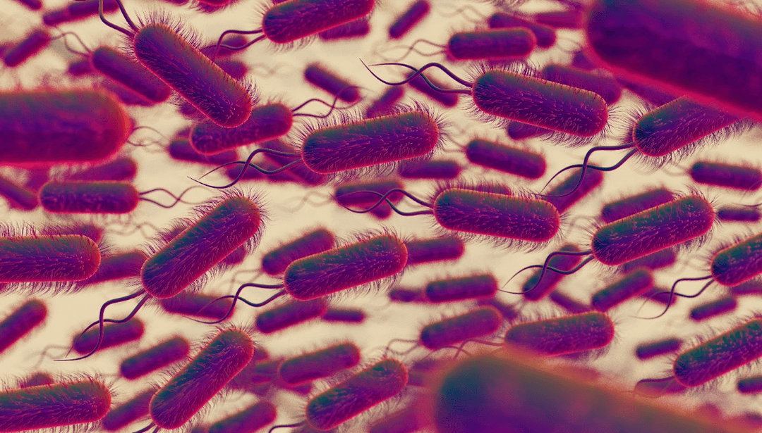 Artykuł Helicobacter pylori - diagnostyka