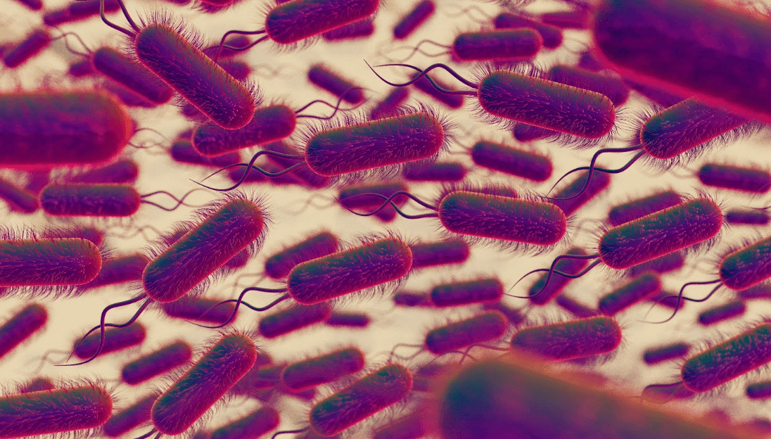 Helicobacter pylori - diagnostyka